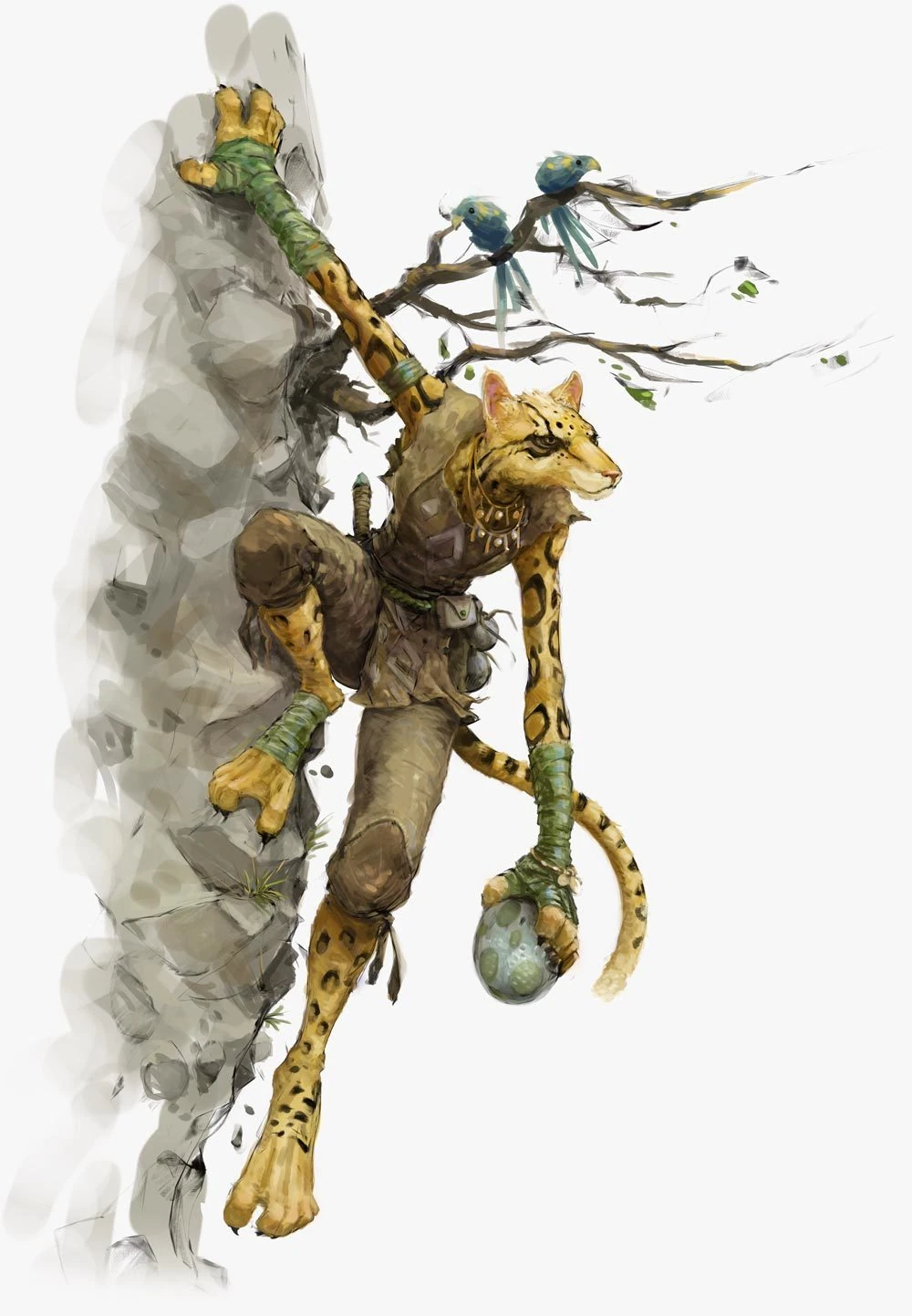Tabaxi_InfoBlock.webp
